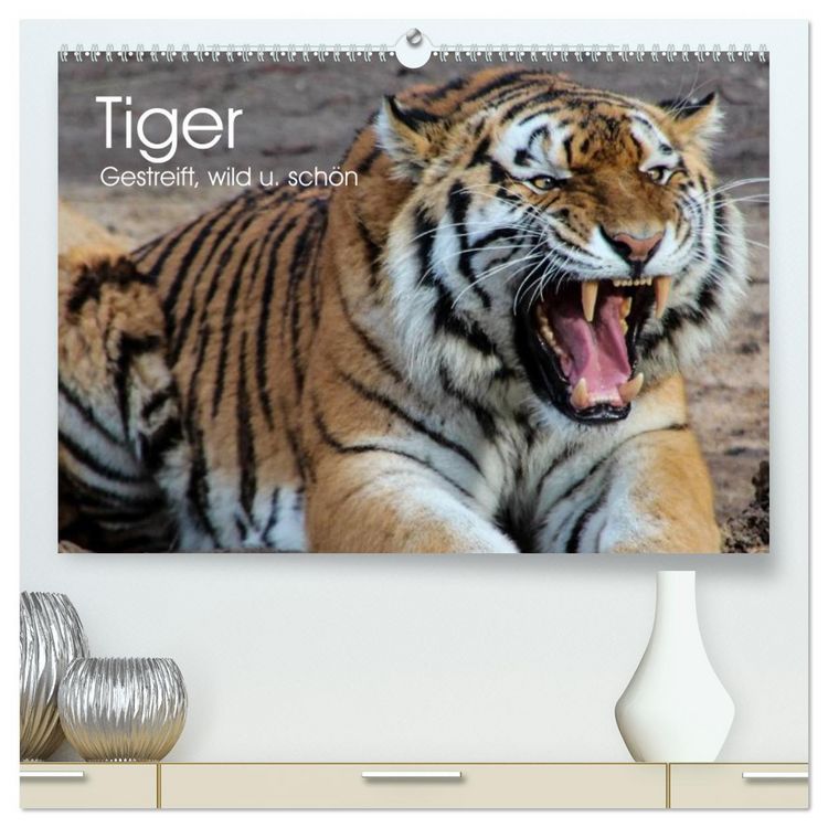 Produktbild: Tiger. Gestreift, wild u. sch&ouml;n (hochwertiger Premium Wandkalender 2026 DIN A2 quer), Kunstdruck in Hochglanz