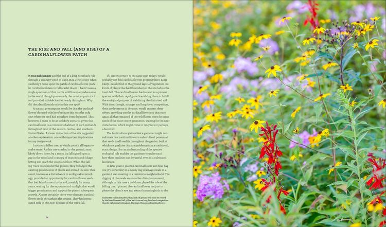 Produktbild: Garden Revolution