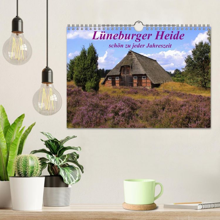 Produktbild: L&uuml;neburger Heide - sch&ouml;n zu jeder Jahreszeit (Wandkalender 2026 DIN A4 quer), CALVENDO Monatskalender