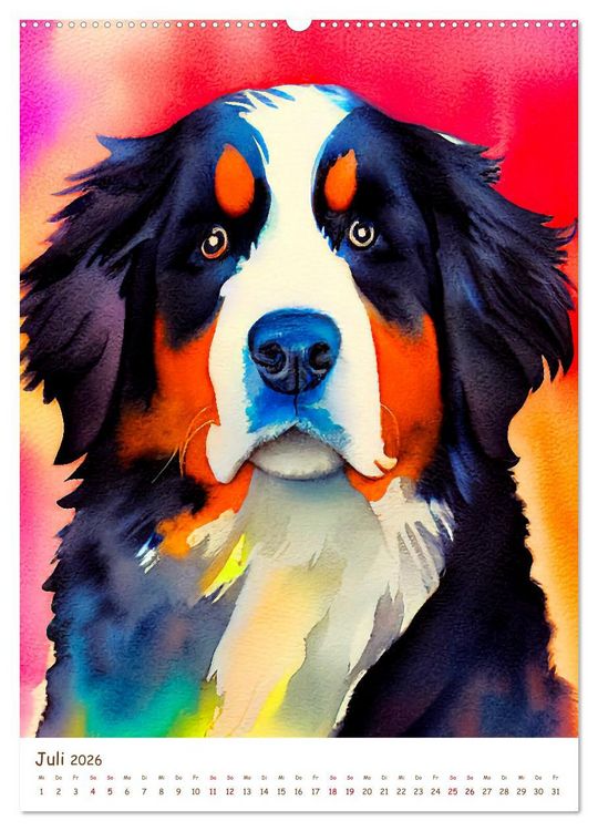 Produktbild: Berner Sennenhund 2026. Sch&ouml;ne Aquarelle der schweizer Hunderasse (hochwertiger Premium Wandkalender 2026 DIN A2 hoch), Kunstdruck in Hochglanz