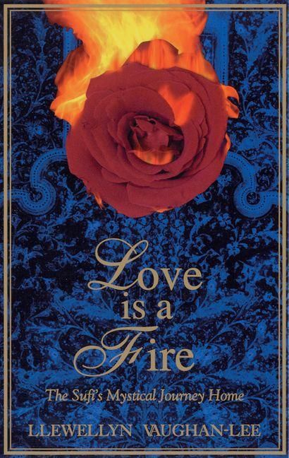 Produktbild: Love Is a Fire