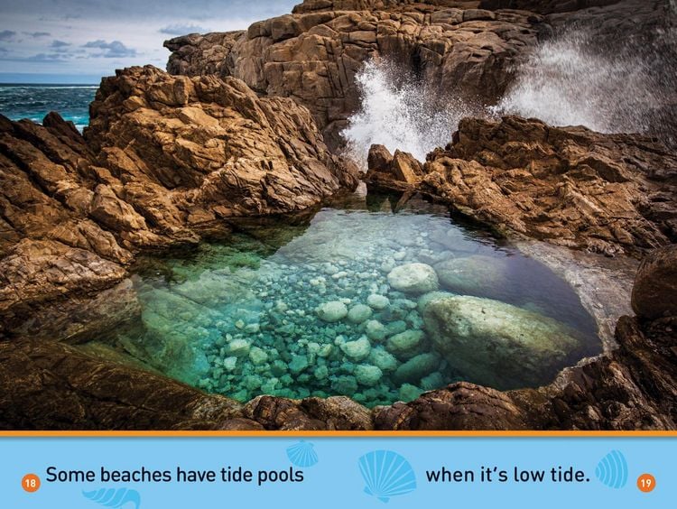 Produktbild: At the Beach (National Geographic Kids Readers, Pre-Reader)