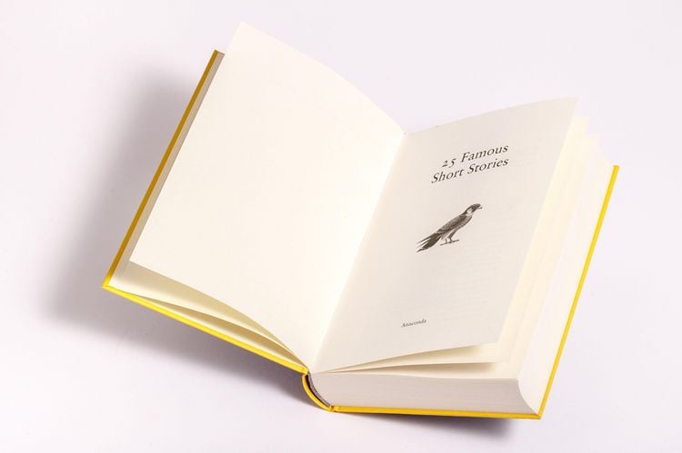 Produktbild: 25 Famous Short Stories. English Edition