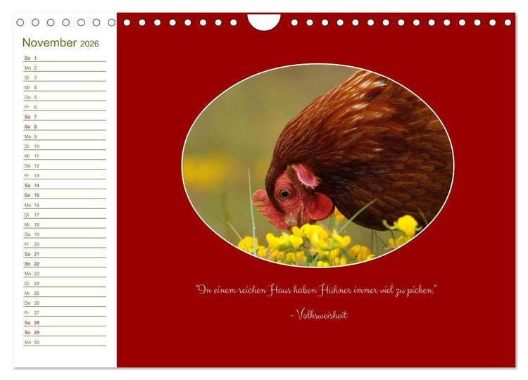 Produktbild: Freilaufende H&uuml;hner (Wandkalender 2026 DIN A4 quer), CALVENDO Monatskalender