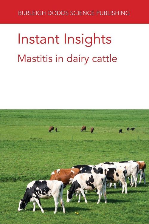 Produktbild: Instant Insights