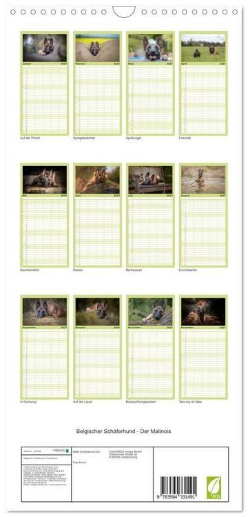 Produktbild: Familienplaner 2027 - Belgischer Sch&auml;ferhund - Der Malinois mit 5 Spalten (Wandkalender, 21 x 45 cm) CALVENDO
