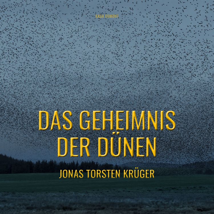 Produktbild: Das Geheimnis der D&uuml;nen - Gef&auml;hrliche Ferien auf Norderney