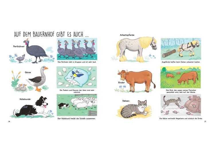 Produktbild: Kennst du die Tiere vom Bauernhof? - Sachbilderbuch f&uuml;r Kinder ab 3 Jahren