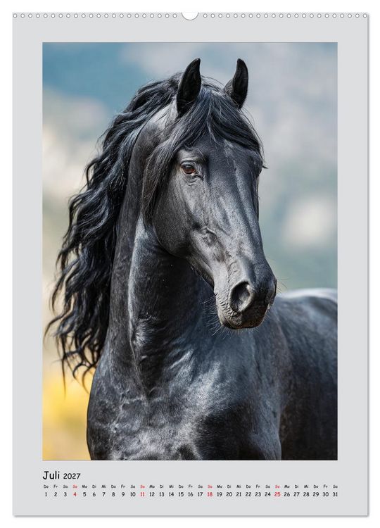 Produktbild: Friesenpferde. Schwarze Eleganz in der Natur (Wandkalender 2027 DIN A2 hoch), CALVENDO Monatskalender