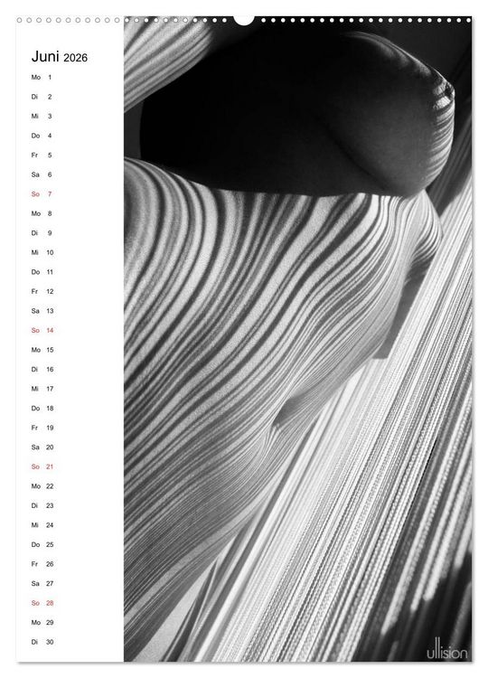 Produktbild: Akt abstrakt (Wandkalender 2026 DIN A2 hoch), CALVENDO Monatskalender