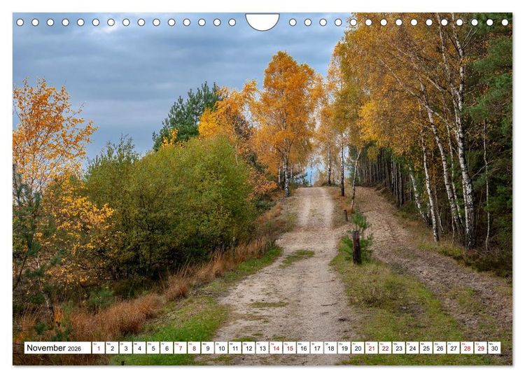 Produktbild: L&uuml;neburger Heide: Die Nordheide (Wandkalender 2026 DIN A4 quer), CALVENDO Monatskalender