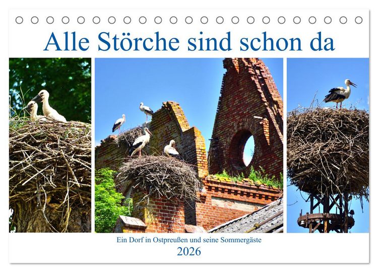 Produktbild: Alle St&ouml;rche sind schon da - Ein Dorf in Ostpreu&szlig;en und seine Sommerg&auml;ste (Tischkalender 2026 DIN A5 quer), CALVENDO Monatskalender