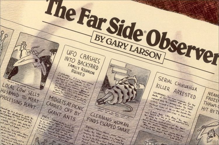Produktbild: The Far Side(r) Observer