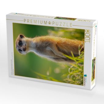 Produktbild: CALVENDO Puzzle Ein Motiv aus dem Kalender W&auml;chter der W&uuml;ste | 1000 Teile Lege-Gr&ouml;&szlig;e 64x48cm Foto-Puzzle f&uuml;r gl&uuml;ckliche Stunden