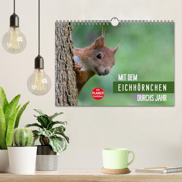 Produktbild: Mit dem Eichh&ouml;rnchen durchs Jahr (Wandkalender 2026 DIN A4 quer), CALVENDO Monatskalender