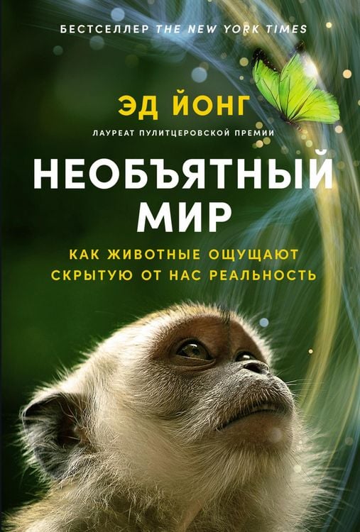 Produktbild: An Immense World: How Animal Senses Reveal the Hidden Realms around Us