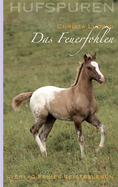 Produktbild: Hufspuren: Das Feuerfohlen