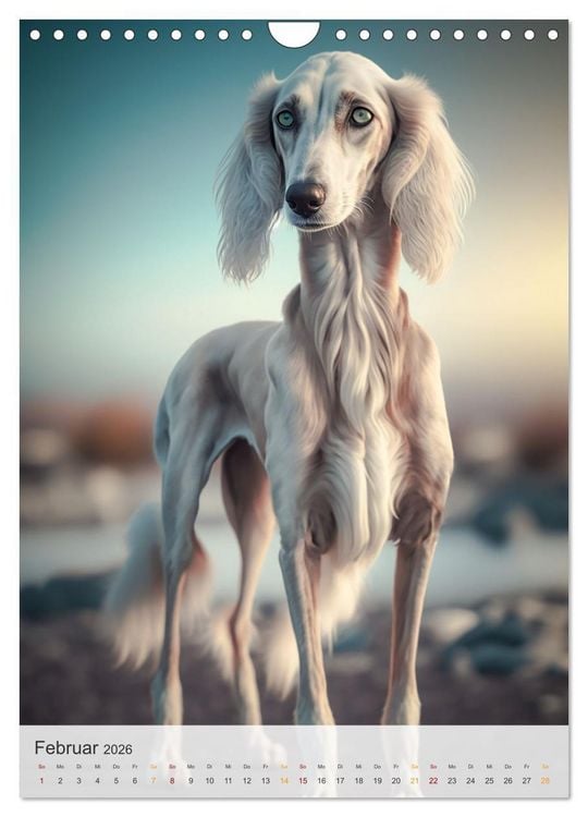 Produktbild: Persischer Windhund (Wandkalender 2026 DIN A4 hoch), CALVENDO Monatskalender