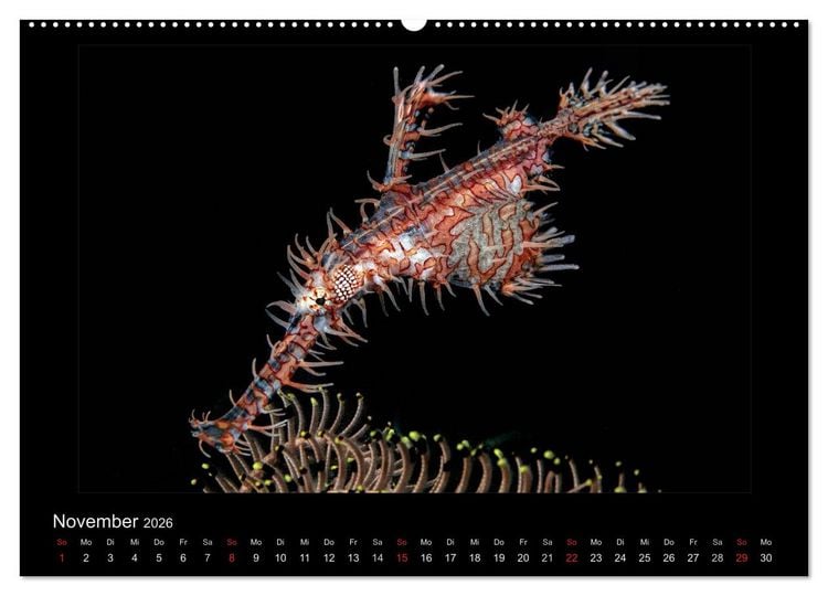 Produktbild: OCEAN - ART (Wandkalender 2026 DIN A2 quer), CALVENDO Monatskalender