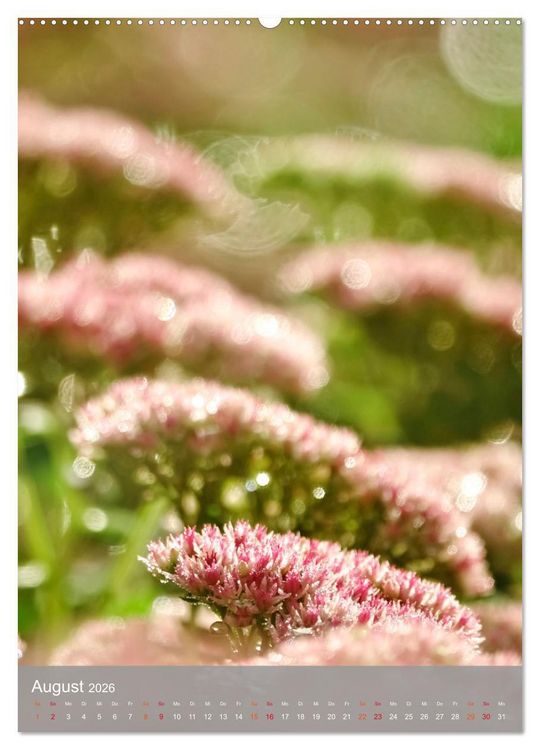 Produktbild: Mit Bokeh-Fotografie durch das Jahr (hochwertiger Premium Wandkalender 2026 DIN A2 hoch), Kunstdruck in Hochglanz