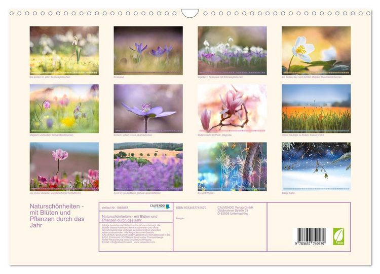 Produktbild: Natursch&ouml;nheiten - mit Bl&uuml;ten und Pflanzen durch das Jahr (Wandkalender 2026 DIN A3 quer), CALVENDO Monatskalender