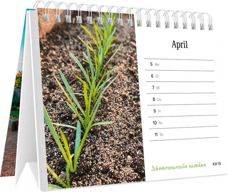 Produktbild: Dein Jahr im Hochbeet 2027