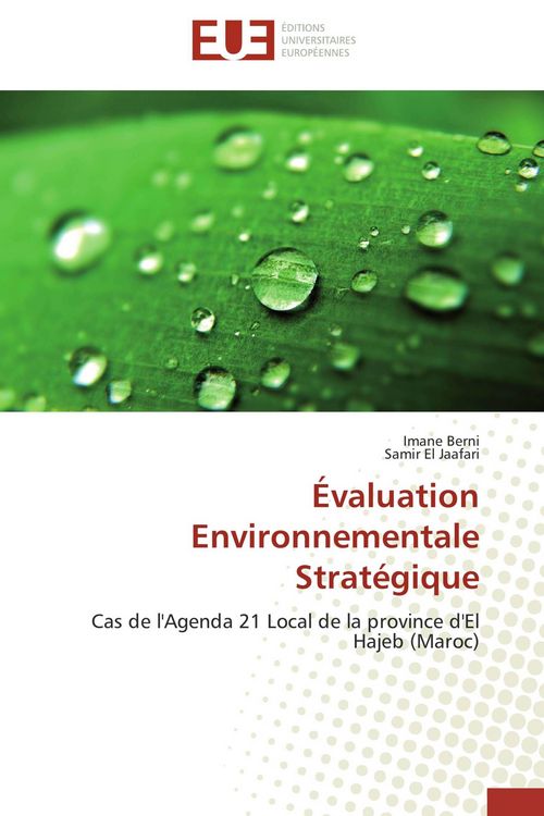 Produktbild: &Eacute;valuation Environnementale Strat&eacute;gique