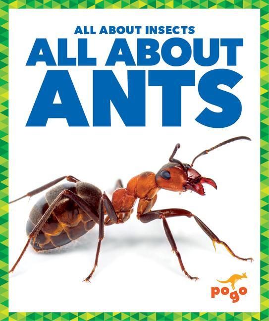 Produktbild: All about Ants