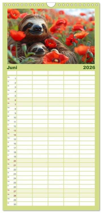 Produktbild: Familienplaner 2026 - Faultiere - entspannt durchs Jahr mit 5 Spalten (Wandkalender, 21 x 45 cm) CALVENDO