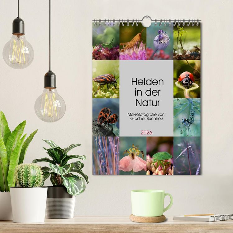 Produktbild: Helden in der Natur (Wandkalender 2026 DIN A4 hoch), CALVENDO Monatskalender
