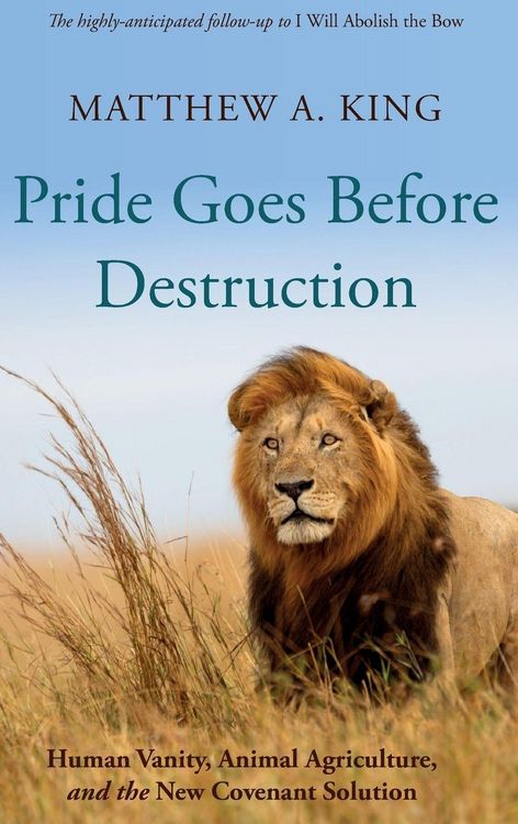 Produktbild: Pride Goes Before Destruction
