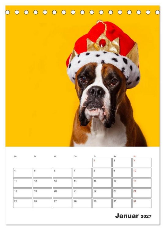Produktbild: colorful world of boxer 2027 (Tischkalender 2027 DIN A5 hoch), CALVENDO Monatskalender