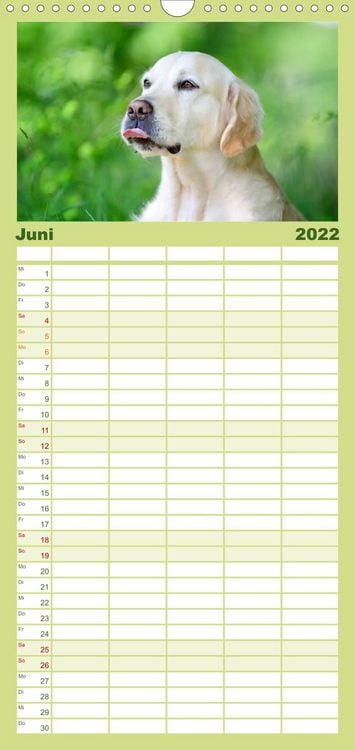 Produktbild: Familienplaner Golden Retriever (Wandkalender 2022 , 21 cm x 45 cm, hoch)