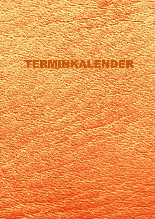 Produktbild: Terminkalender: Undatierter Terminkalender, Stundenplan mit 15-Minuten-Intervallen/Undatierter Tagesplaner