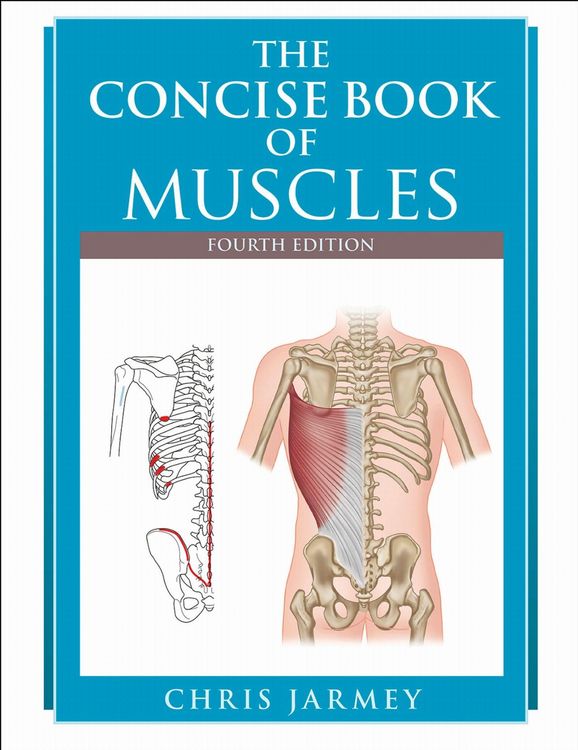 Produktbild: The Concise Book of Muscles