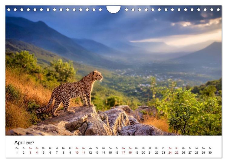 Produktbild: Gefleckte Schatten - Im Bann der Leoparden (Wandkalender 2027 DIN A4 quer), CALVENDO Monatskalender
