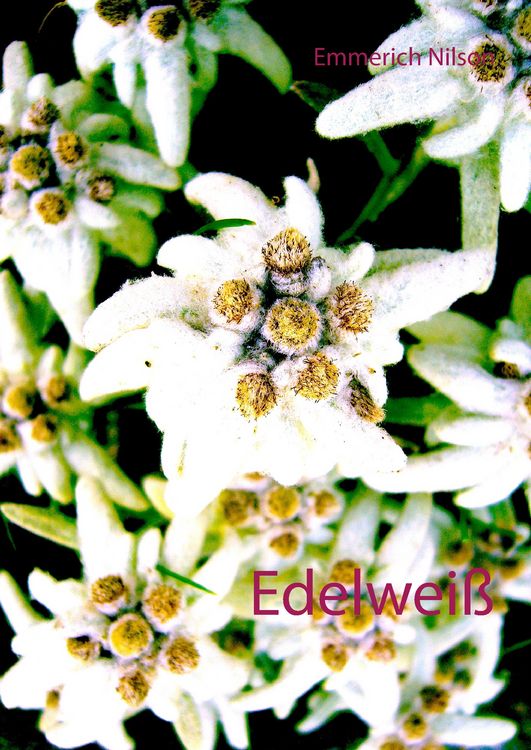 Produktbild: Edelwei&szlig;