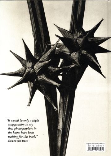 Produktbild: Karl Blossfeldt