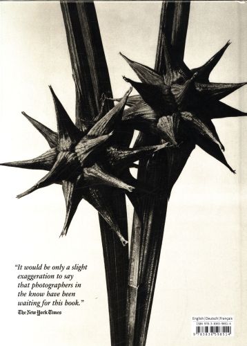 Produktbild: Karl Blossfeldt. The Complete Published Work. 45th Ed.