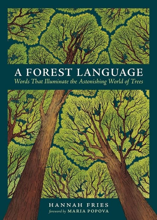 Produktbild: A Forest Language