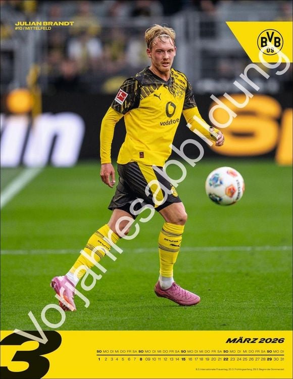 Produktbild: BVB Posterkalender 2027