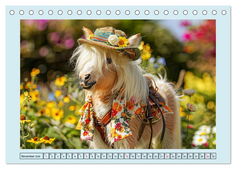Produktbild: Pony-Parade. Stylisches Abenteuer auf kleinen Hufen (Tischkalender 2026 DIN A5 quer), CALVENDO Monatskalender