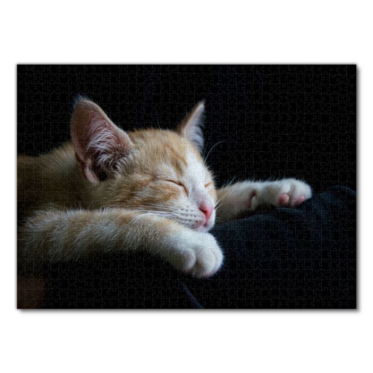 Produktbild: Lais Puzzle Katze 1000 Teile