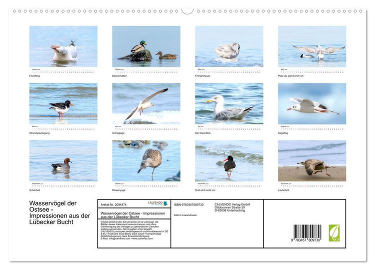 Produktbild: Wasserv&ouml;gel der Ostsee - Impressionen aus der L&uuml;becker Bucht (hochwertiger Premium Wandkalender 2026 DIN A2 quer), Kunstdruck in Hochglanz