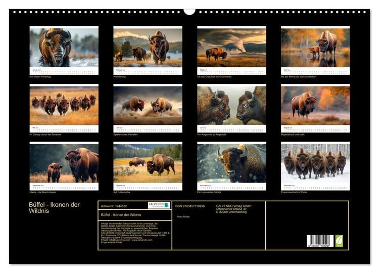 Produktbild: B&uuml;ffel - Ikonen der Wildnis (Wandkalender 2026 DIN A2 quer), CALVENDO Monatskalender