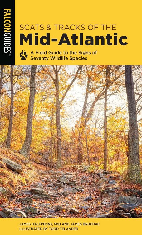 Produktbild: Scats and Tracks of the Mid-Atlantic