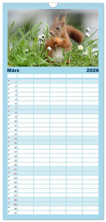 Produktbild: Familienplaner 2026 - Eichh&ouml;rnchen Luna und ihre Kinder mit 5 Spalten (Wandkalender, 21 x 45 cm) CALVENDO