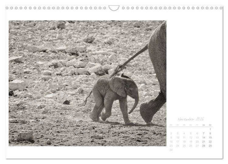 Produktbild: Elefanten in Etosha (Wandkalender 2026 DIN A3 quer), CALVENDO Monatskalender
