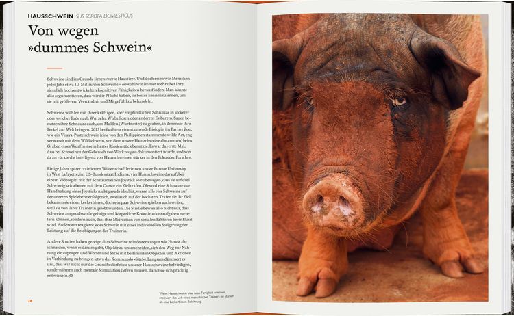 Produktbild: Was Tiere denken