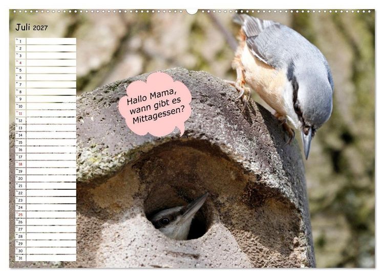 Produktbild: Wenn Tiere Sprechen k&ouml;nnten! Der lustige Spr&uuml;che Geburtstagskalender (Wandkalender 2027 DIN A2 quer), CALVENDO Monatskalender